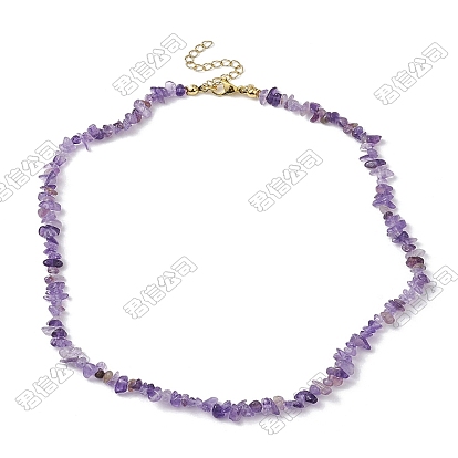 Natural Amethyst Bead Necklaces, Chip, Golden