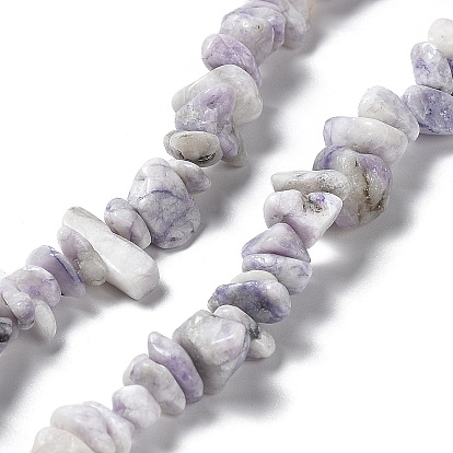 Natural Purple Turquoise Beads Strands, Chip