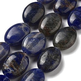Natural Sodalite Beads Strands, Flat Oval