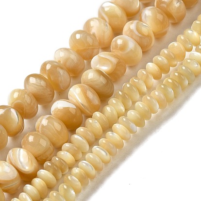 Natural Trochus Shell Beads Strands, Rondelle