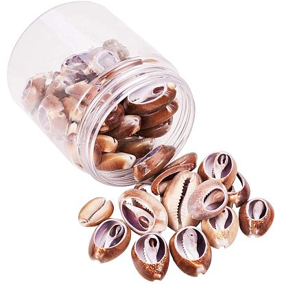 Cowrie Shell Oval Beads, No Hole