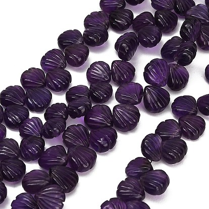 Hebras de cuentas talladas de amatista natural, formas de concha, superior perforado, con la borla