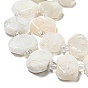 Natural Rainbow Moonstone Beads Strands, with Seed Beads, Faceted Rectangle