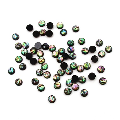 Paua Shell Cabochons, Halbrund