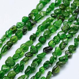 Natural Green Diopside Beads Strands, Tumbled Stone, Nuggets