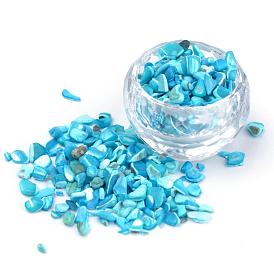 Natural Sea Shell Beads, No Hole, Dyed, Chip