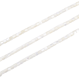 3 Strands Natural Trochid Shell/Trochus Shell Beads Strands, Bleach, Column