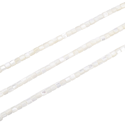 3 Strands Natural Trochid Shell/Trochus Shell Beads Strands, Bleach, Column