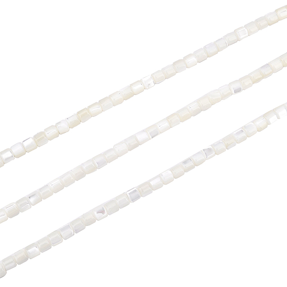 3 Strands Natural Trochid Shell/Trochus Shell Beads Strands, Bleach, Column