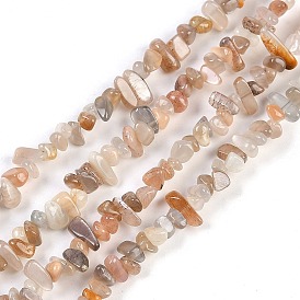 Natural Sunstone Beads Strands, Chip