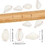 Natural Cowrie Shell Beads, Undrilled/No Hole Beads