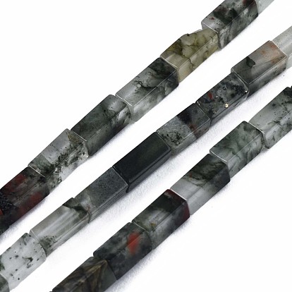 Natural African Bloodstone  Beads Strands, Cuboid