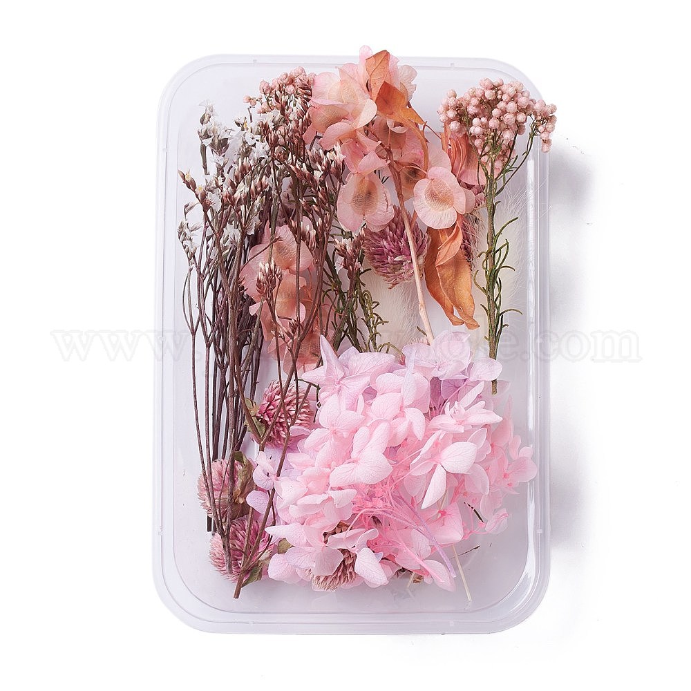 Fábrica de China Flores secas, accesorios para hacer jabones de velas diy,  con caja de plástico rectangular, rosa ~~ cm a granel en  línea 