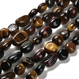 Natural Tiger Eye Beads Strands, Nuggets, Tumbled Stone, Mixed Dyed and Undyed