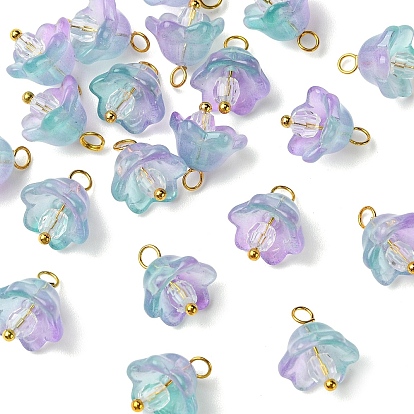 20 Stück Blumenanhänger aus Glas und Acryl, mit Messing-Zubehör, golden