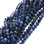 Sodalites naturelles brins de perles, facette, Toupie
