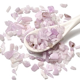 Бусины из натурального кунцита, нет отверстий / незавершенного, чип