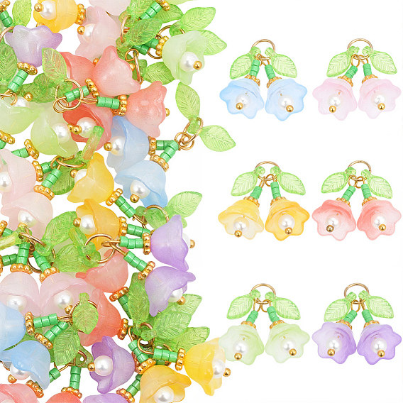 30Stk 6 Farben transparente Glasanhänger, Blumencharme, mit Acrylperlen & Charms, und Messingschlaufen