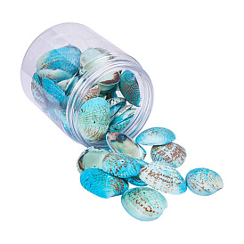 Dyed Natural Shell Beads