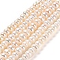 Natural Cultured Freshwater Pearl Beads Strands, Rondelle, Grade 6A