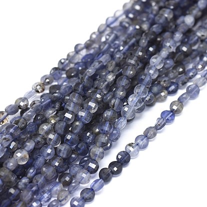 Natural Iolite Beads Strands, Faceted, Flat Round