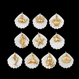 Ocean Theme Natural Freshwater Shell & 304 Stainless Steel Pendants, Shell Shape with Marine Animal Charms, with 304 Stainless Steel Open Jump Rings