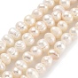 Natural Cultured Freshwater Pearl Beads Strands, Potato