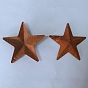 Iron Pendants, Rusting, Star