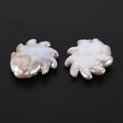 Perles de perles keshi naturelles, perle de culture d'eau douce, pas de trous / non percés, roue chaude
