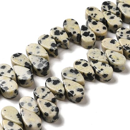 Natural Dalmatian Jasper Beads Strands, Teardrop, Top Drilled