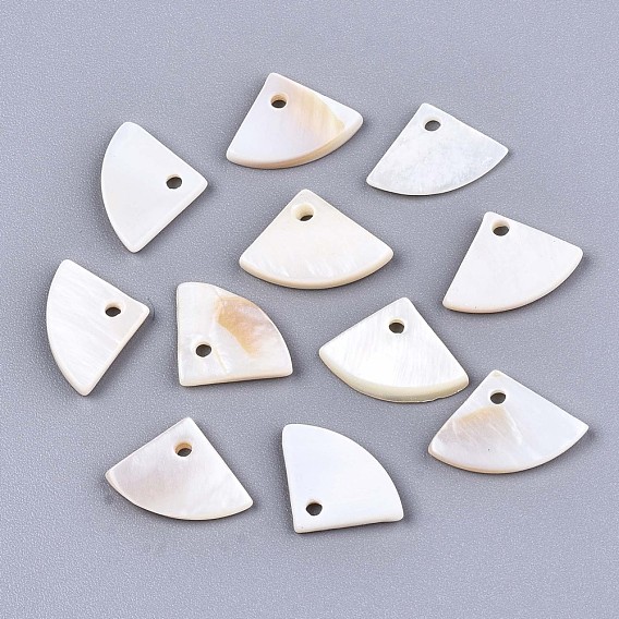 Natural Freshwater Shell Charms, Fan