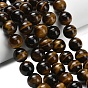 Природных тигровый глаз бисер нитей, класса АА +, круглые