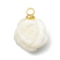 Натуральные резные подвески из раковины трохида/трохуса, двусторонние., прелести цветка розы, с латунными штифтовыми скобами, белые