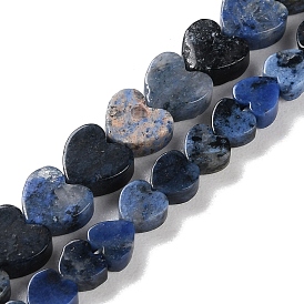 Natural Sodalite Beads Strands, Heart