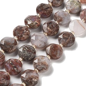 Natural Fire Agate Beads Strands, with Seed Beads, Faceted Hexagonal Cut, Flat Round