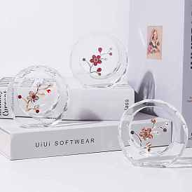Glass Flower Display Decorations, for Desktop Home Decoration, Round Ring with Plum Blossom