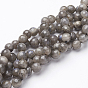 Natural Labradorite Beads Strands, Faceted, Round