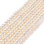 Natural Cultured Freshwater Pearl Beads Strands, Grade 5A, Rondelle