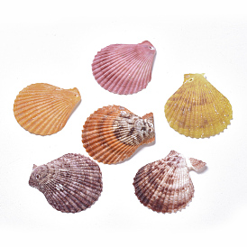 Scallop Shell Pendants, Shell