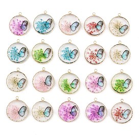 Brass Glass Pendants, Flat Round with Butterfly Charms, with Dried Flower