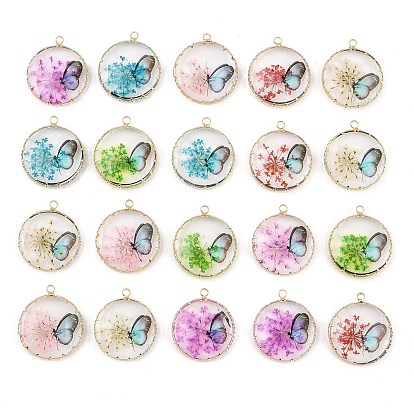 Brass Glass Pendants, Flat Round with Butterfly Charms, with Dried Flower