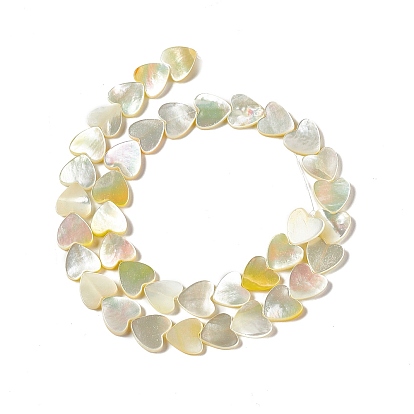 Natural Shell Beads Strands, Heart