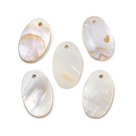 Овальная пресноводных оболочки подвески, 26x15x2 мм, отверстие : 2 мм