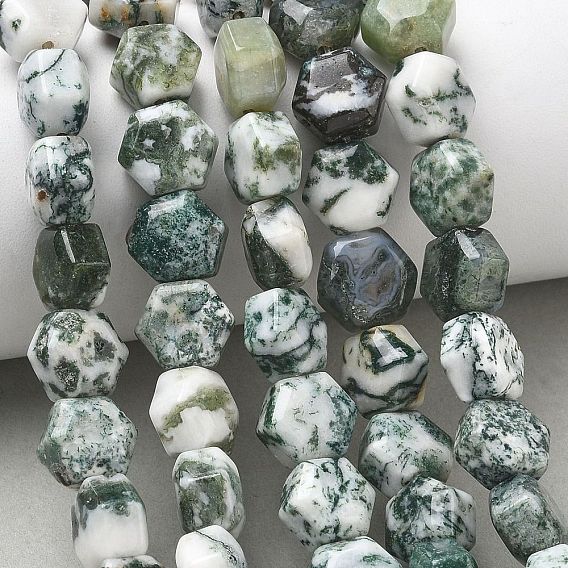 Naturelles arbres agate perles brins, hexagone