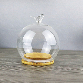 Bird Glass Dome Cover, Decorative Display Case, Cloche Bell Jar Terrarium with Wood Base, for DIY Preserved Flower Gift