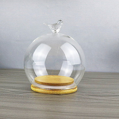Couvercle de dôme en verre pour oiseaux, vitrine décorative, terrarium cloche cloche avec base en bois, pour un cadeau de fleurs préservées bricolage