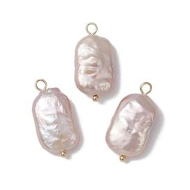 Натуральные кеши жемчужные подвески, прямоугольные подвески с 304 петлями из нержавеющей стали, старинный белый