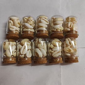 Arch Shape Glass Dome Bell Jar with Natural Mixed Cowrie Shell inside, for Home Decoration