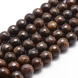 Natural Bronzite Beads Strands, Faceted, Round