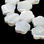 Natural Trochus Shell Beads Strands, Flower